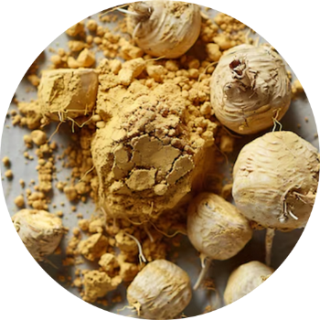 Maca Root