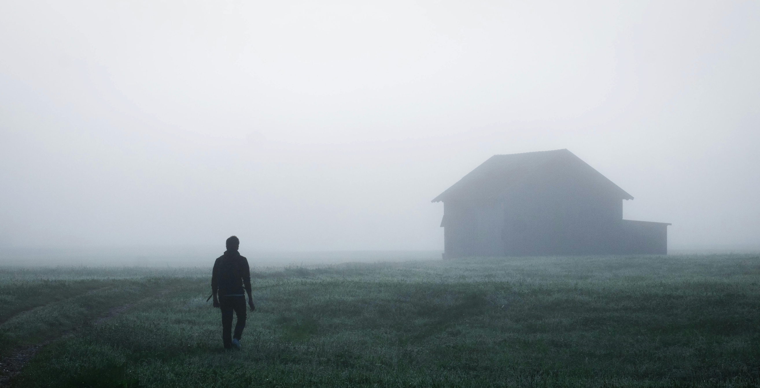 From Foggy to Focused: The Brain‑Boosting Power of Mushrooms