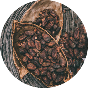 Cacao