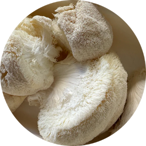 Lion's Mane